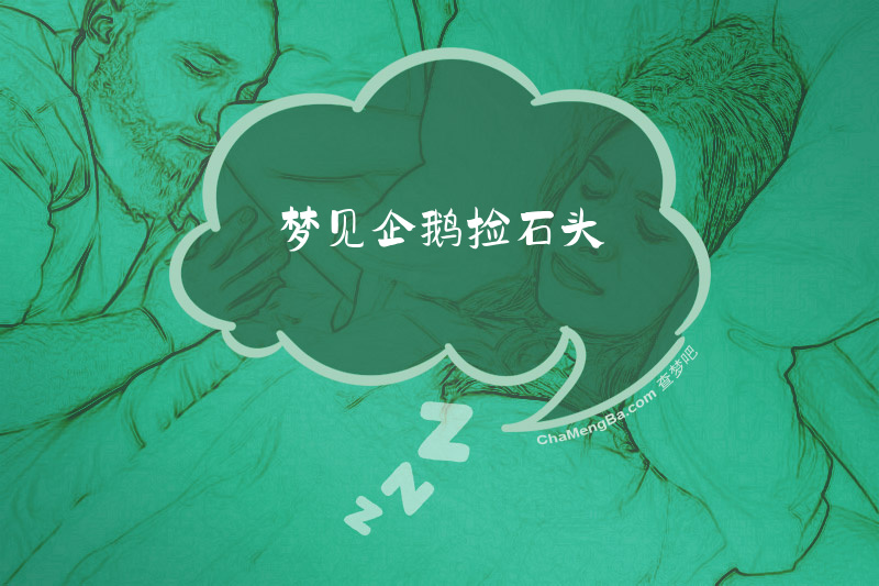 梦见企鹅捡石头