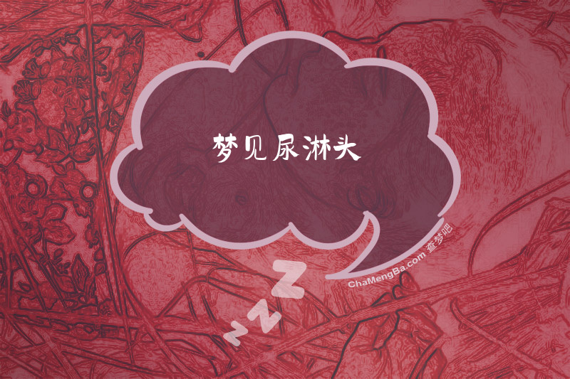 梦见尿淋头