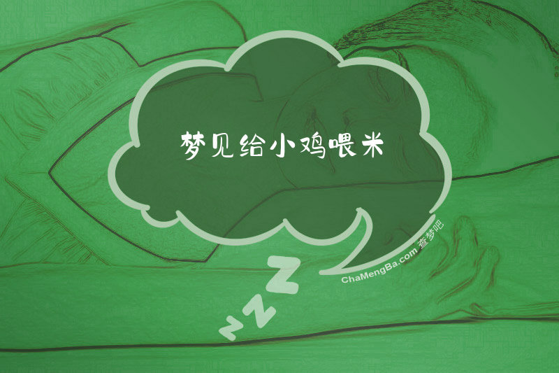 梦见给小鸡喂米