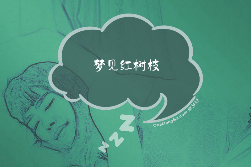 梦见红树枝