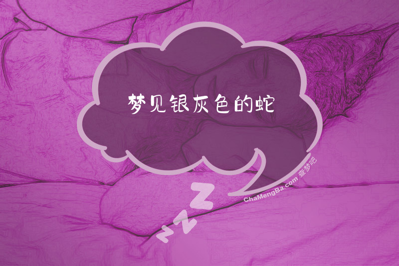 梦见银灰色的蛇