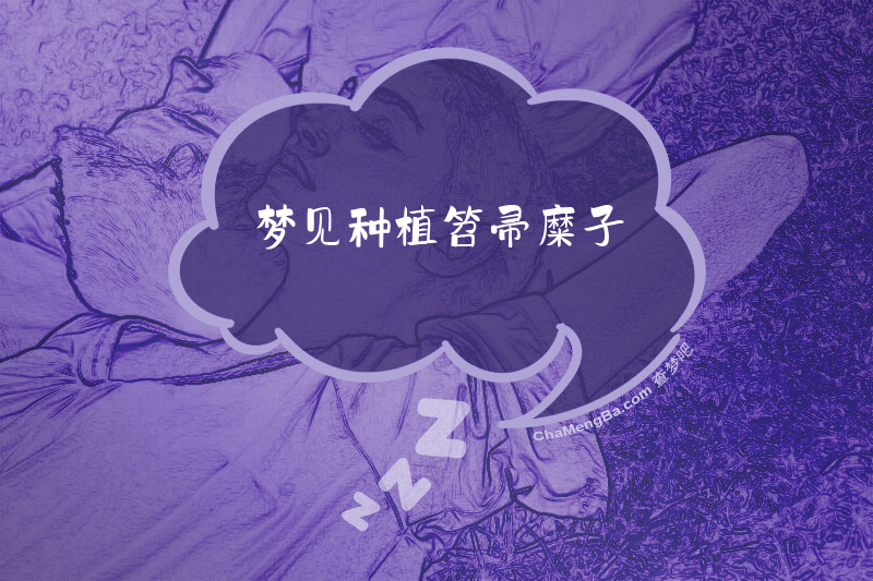 梦见种植笤帚糜子