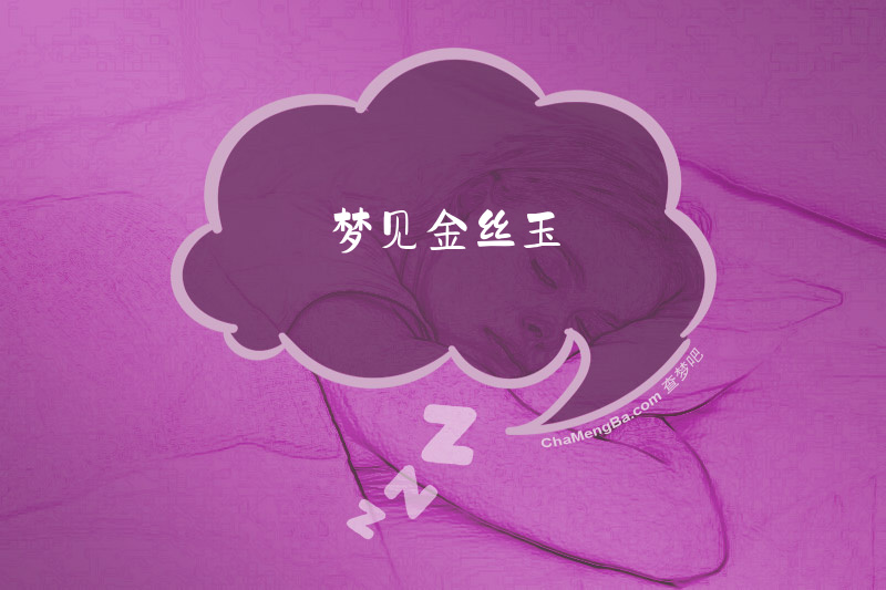 梦见金丝玉