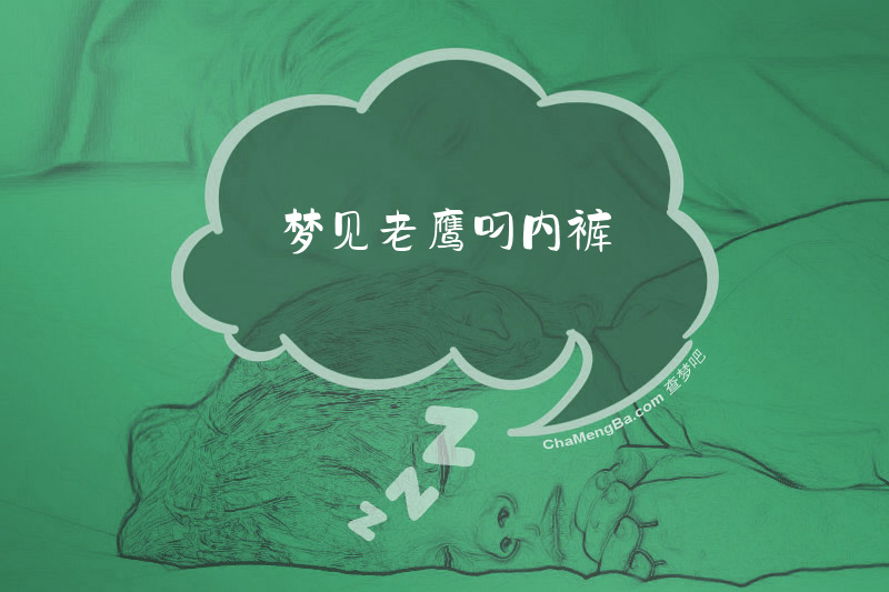 梦见老鹰叼内裤