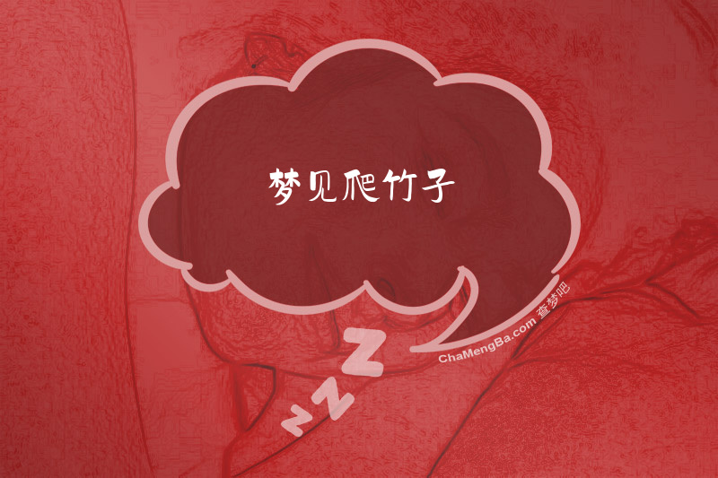 梦见爬竹子