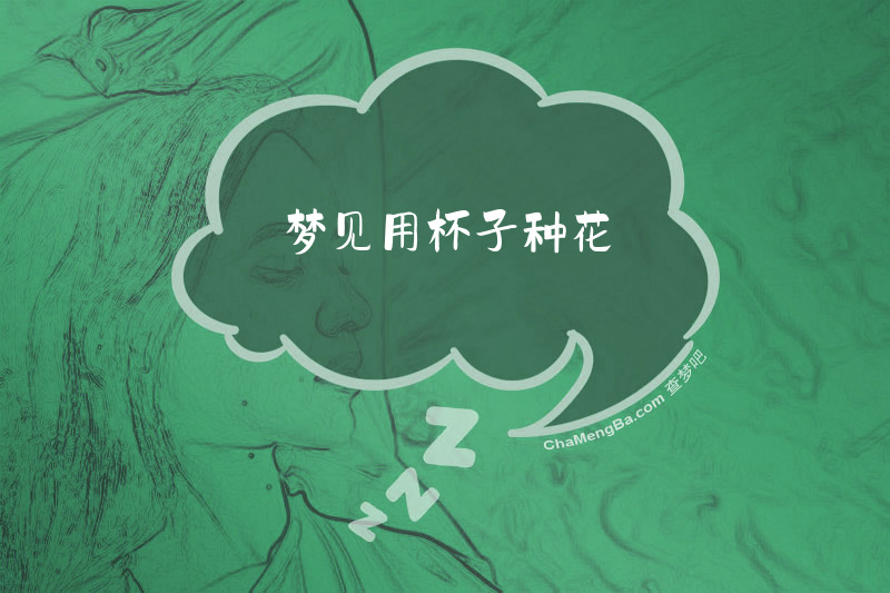 梦见用杯子种花