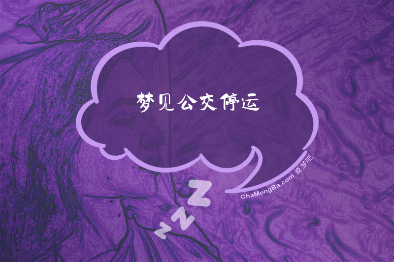 梦见公交停运