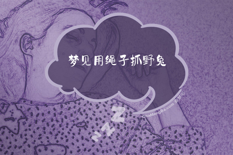 梦见用绳子抓野兔