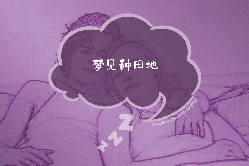 梦见种田地