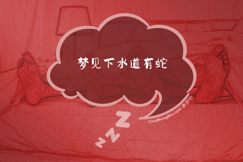 梦见下水道有蛇