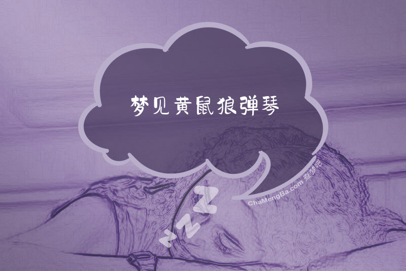 梦见黄鼠狼弹琴