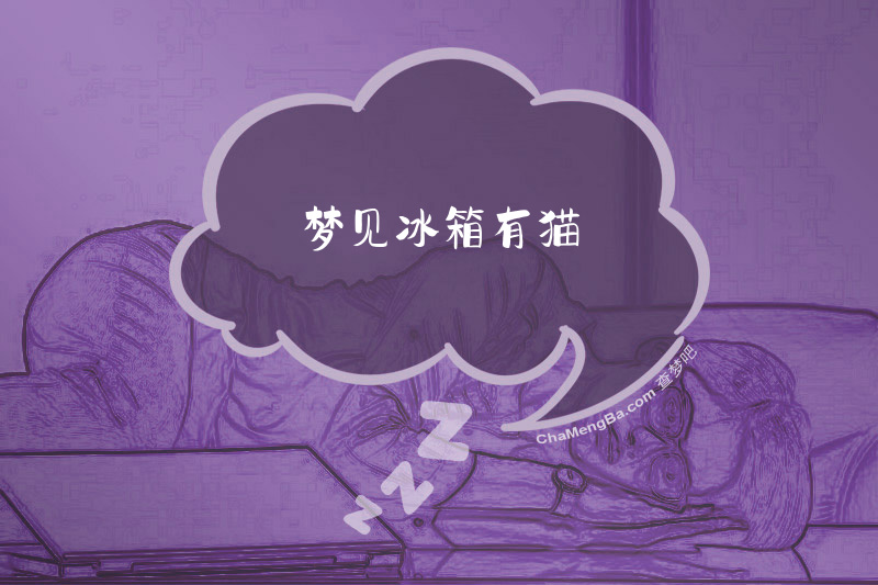 梦见冰箱有猫