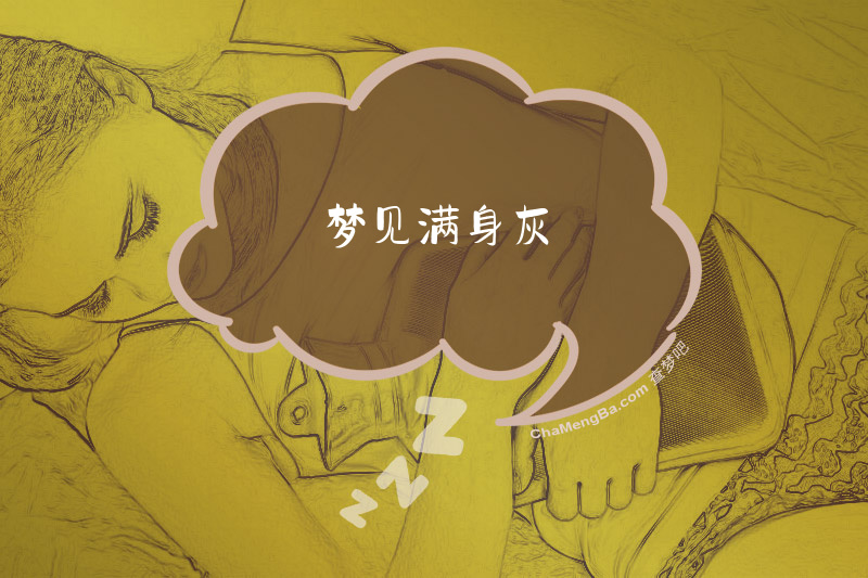 梦见满身灰