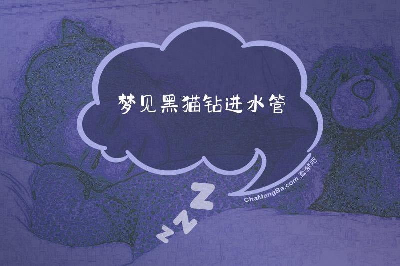 梦见黑猫钻进水管