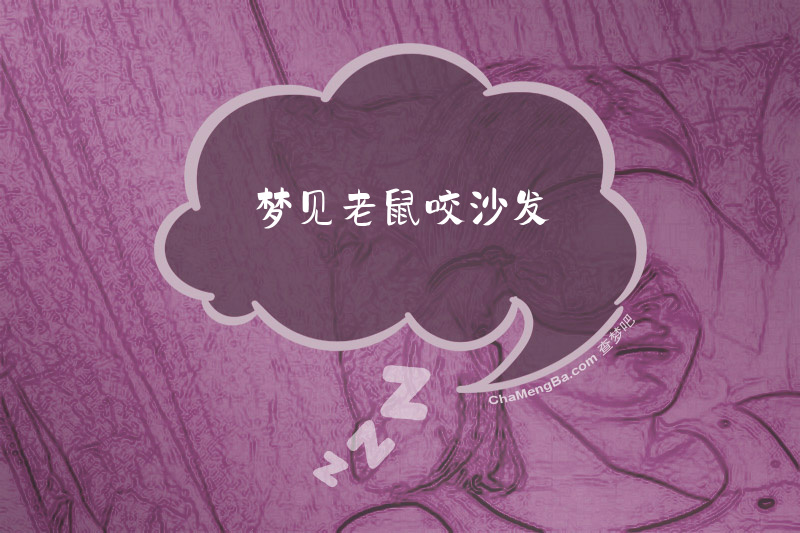 梦见老鼠咬沙发