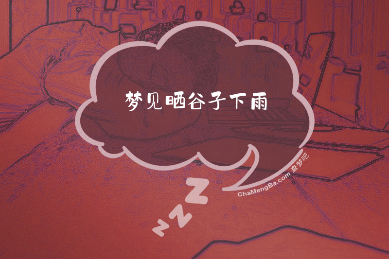 梦见晒谷子下雨