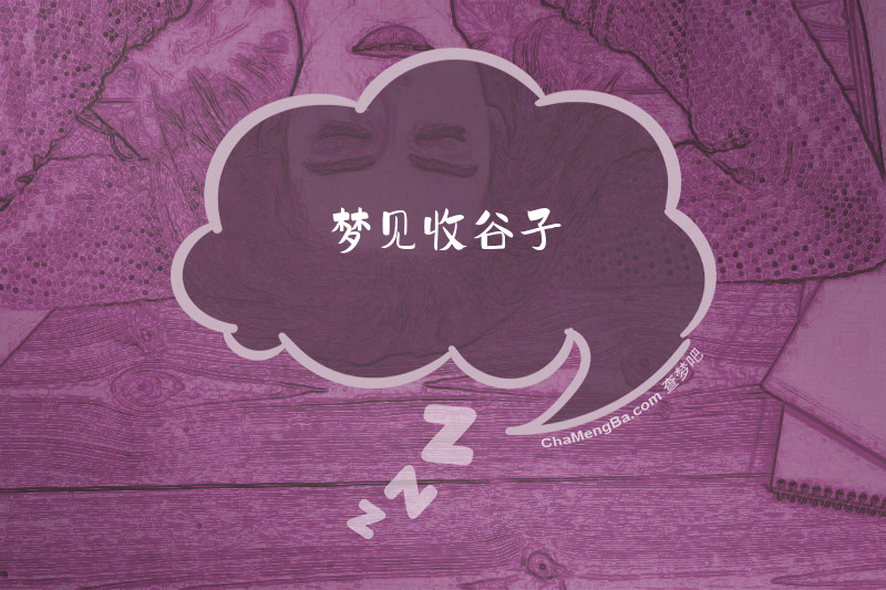 梦见收谷子