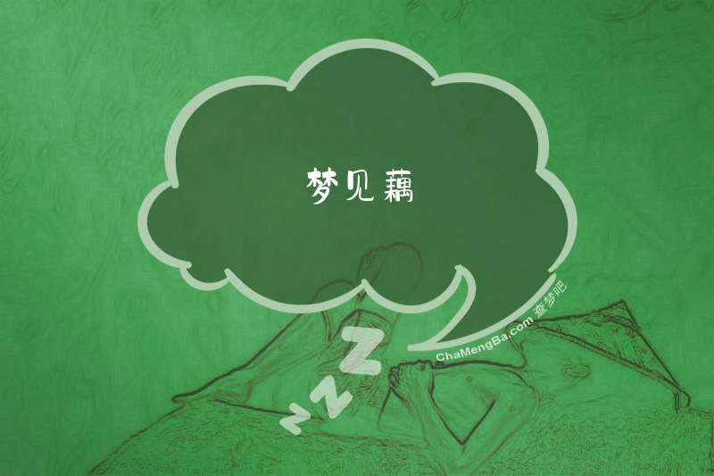 梦见藕