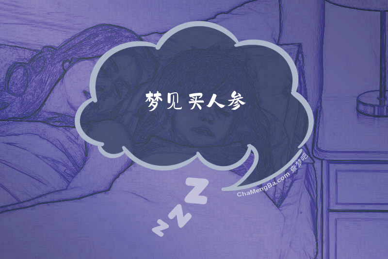 梦见买人参
