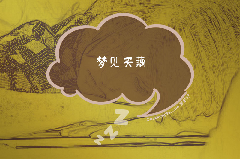 梦见买藕