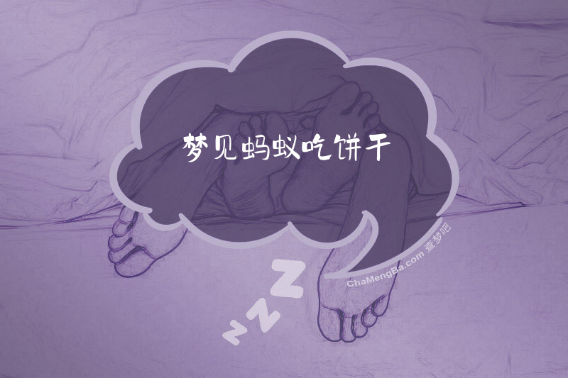 梦见蚂蚁吃饼干
