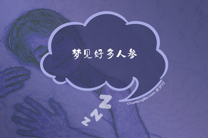 梦见好多人参