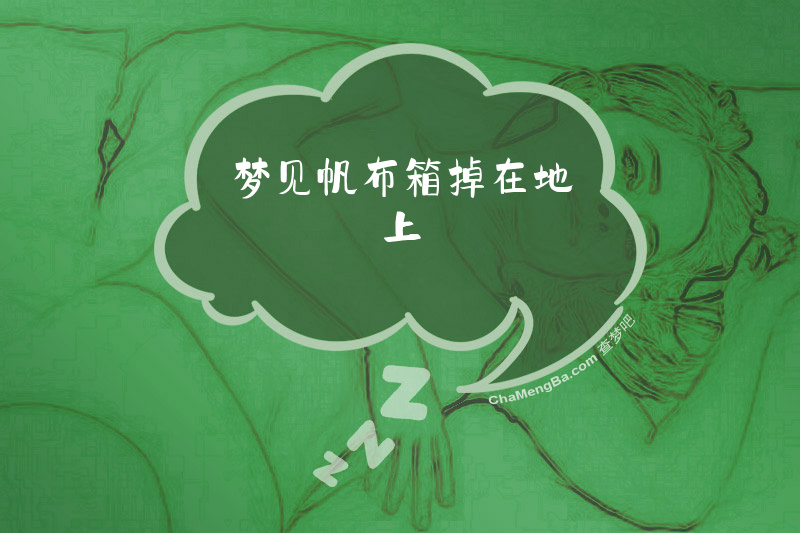 梦见帆布箱掉在地上