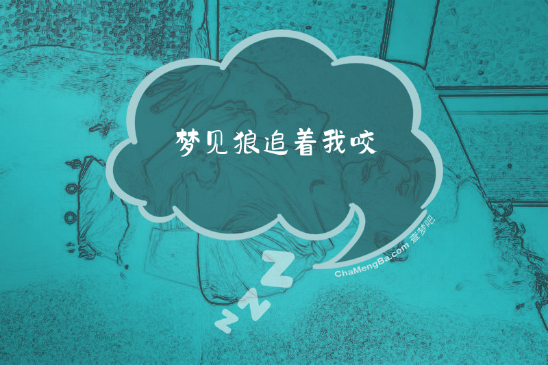 梦见狼追着我咬