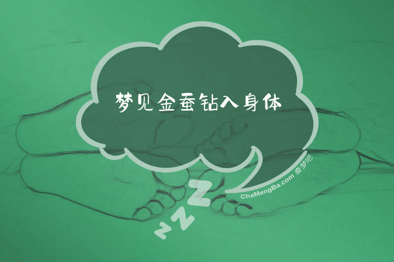 梦见金蚕钻入身体