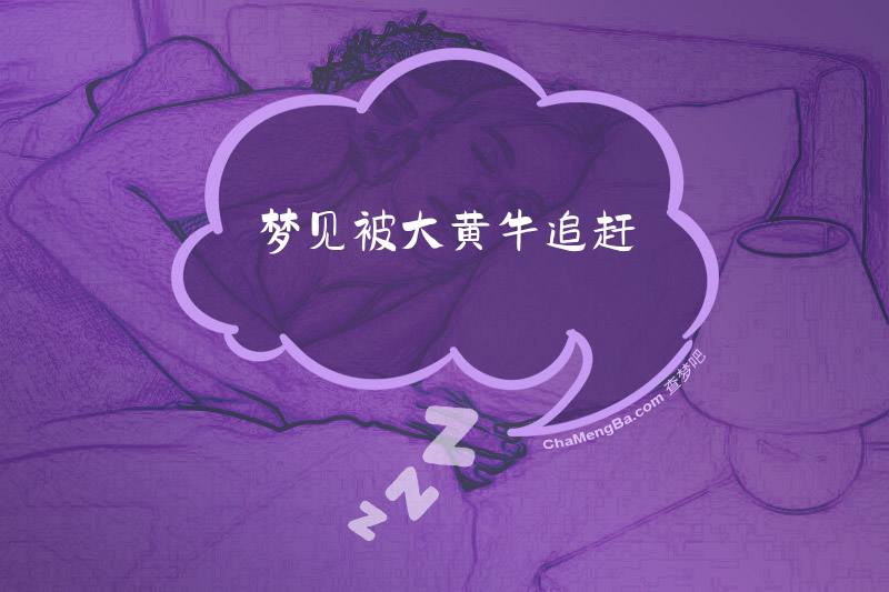 梦见被大黄牛追赶