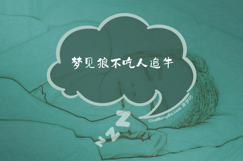 梦见狼不吃人追牛