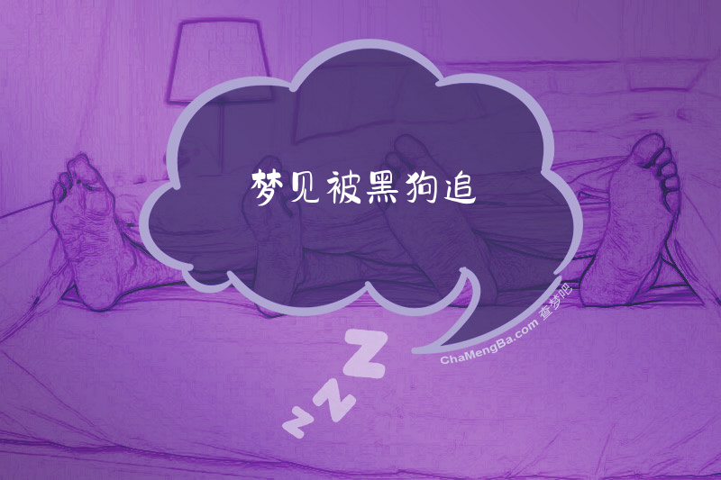 梦见被黑狗追