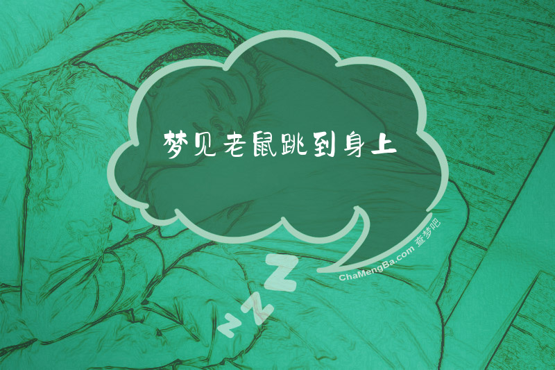 梦见老鼠跳到身上