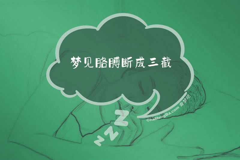 梦见胳膊断成三截
