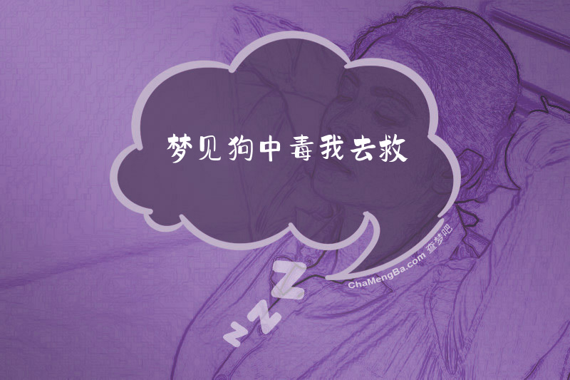 梦见狗中毒我去救