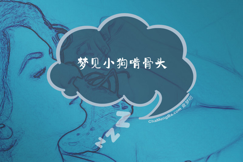 梦见小狗啃骨头