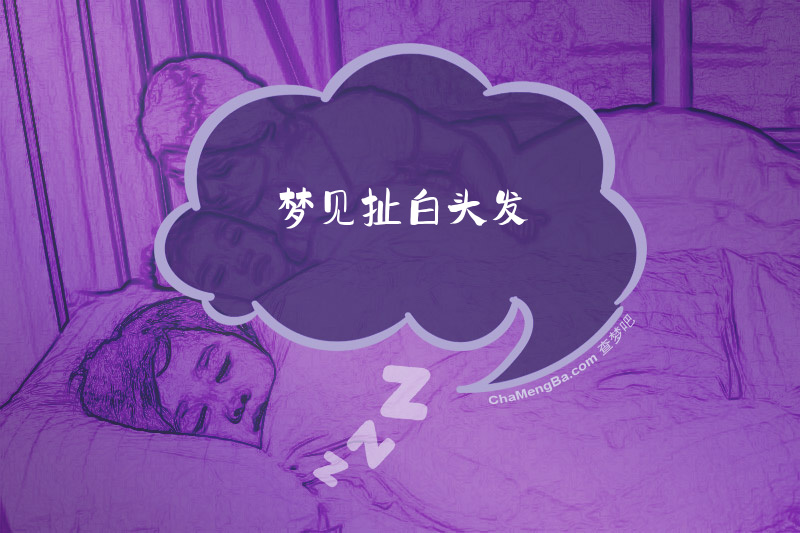 梦见扯白头发