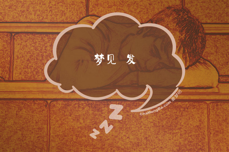 梦见禿发