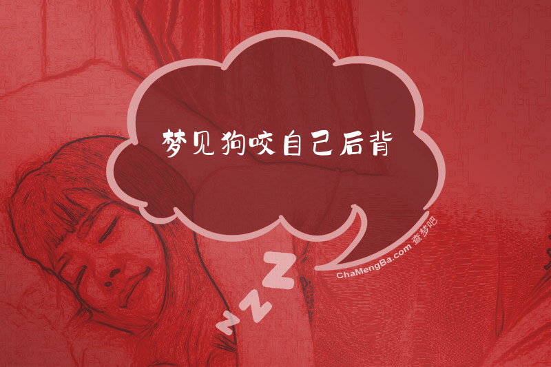 梦见狗咬自己后背