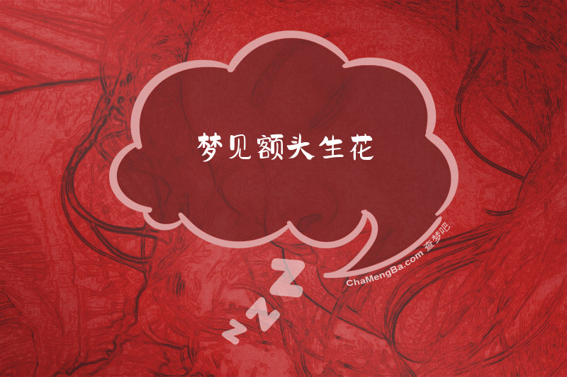 梦见额头生花