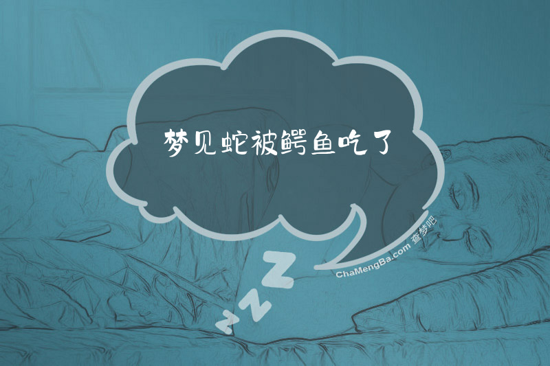 梦见蛇被鳄鱼吃了