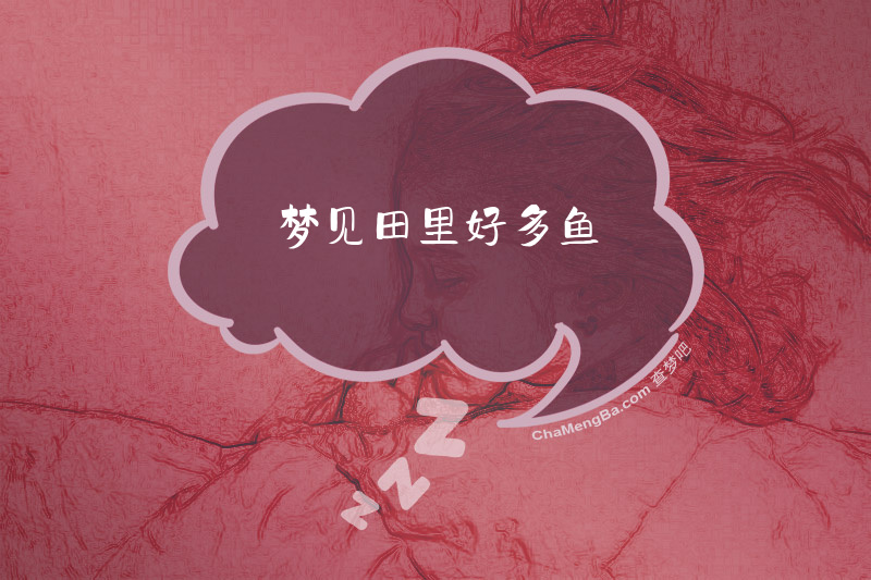 梦见田里好多鱼
