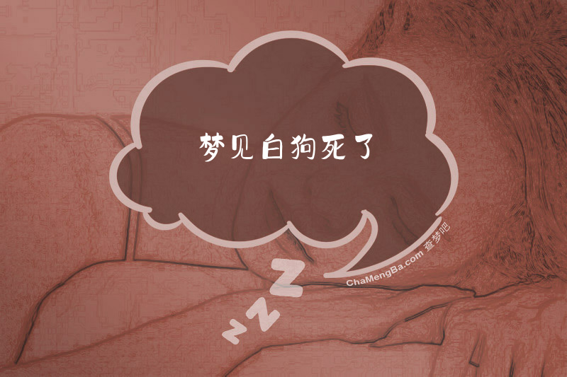 梦见白狗死了