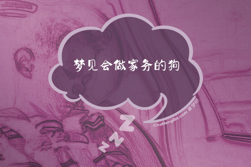 梦见会做家务的狗