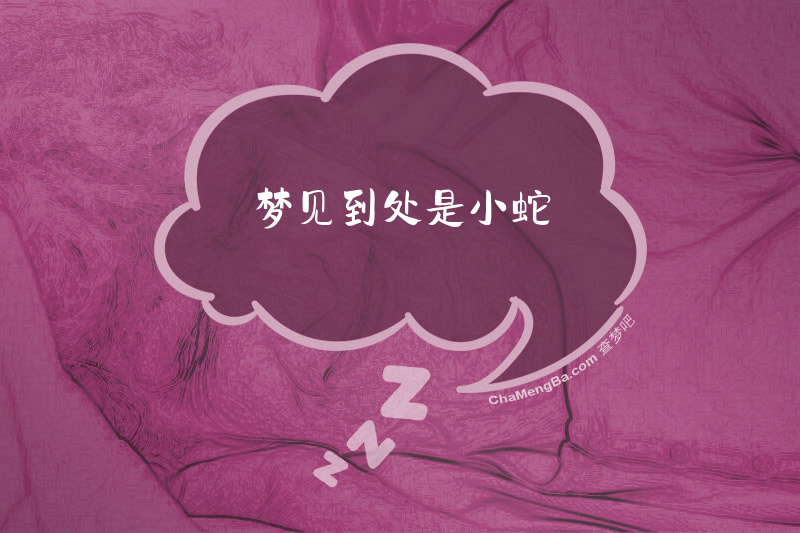 梦见到处是小蛇