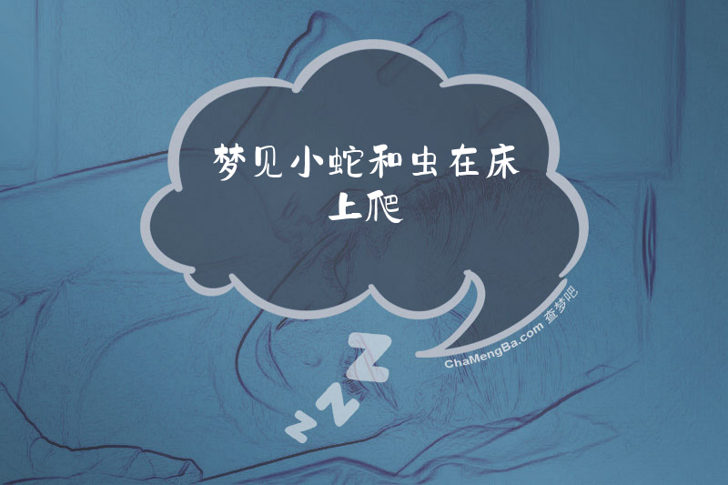 梦见小蛇和虫在床上爬