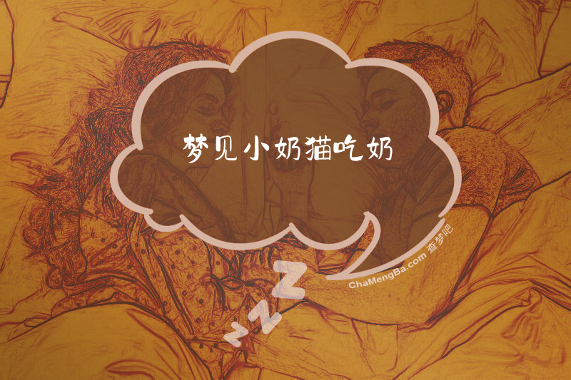 梦见小奶猫吃奶