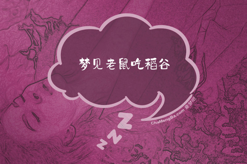 梦见老鼠吃稻谷