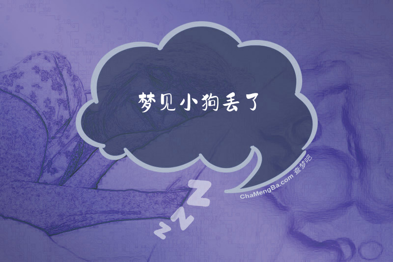 梦见小狗丢了