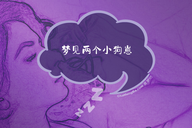 梦见两个小狗崽